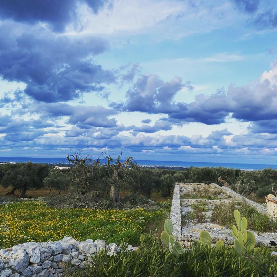 La Guendalina Masseria e Casa Particular Bed and Breakfast Monopoli Esterno foto