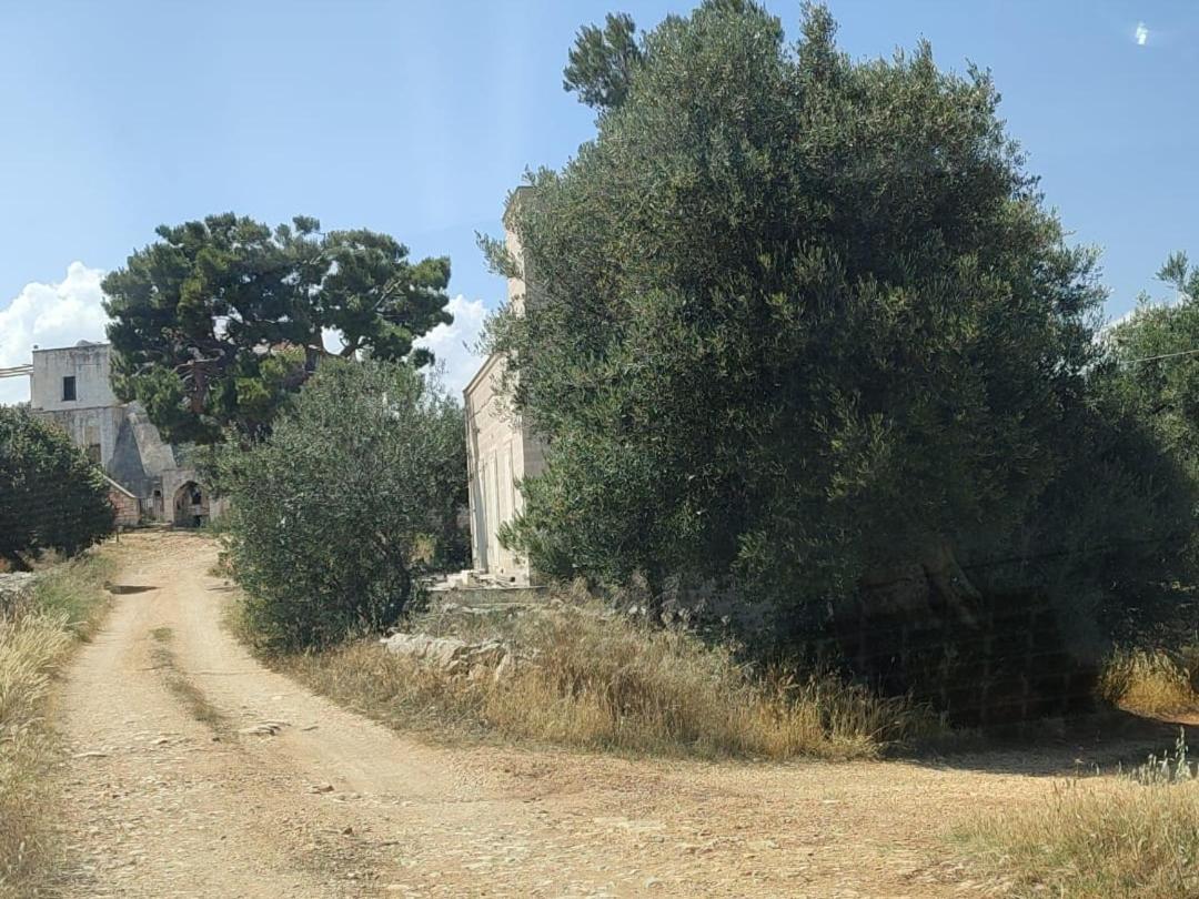 La Guendalina Masseria e Casa Particular Bed and Breakfast Monopoli Esterno foto